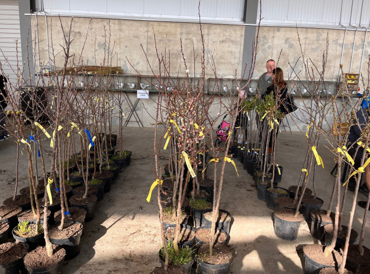 Velikonoční Počapelský jarmark